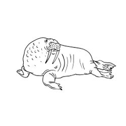 Animales marinos #473