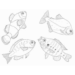 Animales marinos #476