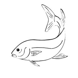 Animales marinos #482