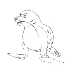 Animales marinos #484