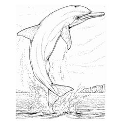 Animales marinos #485