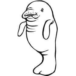 Animales marinos #490