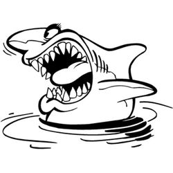 Animales marinos #493