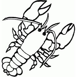 Animales marinos #494
