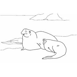 Animales marinos #495