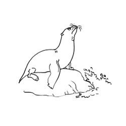 Animales marinos #496