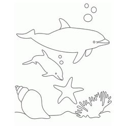 Animales marinos #497