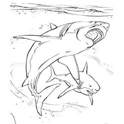 Animales marinos #498