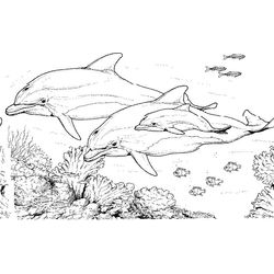 Animales marinos #502