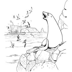 Animales marinos #508