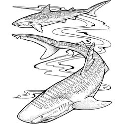 Animales marinos #510