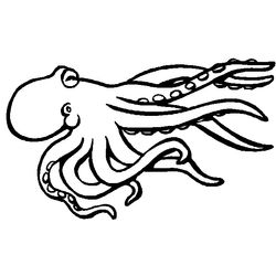 Animales marinos #513