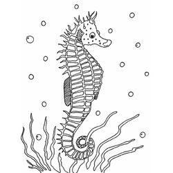 Animales marinos #516
