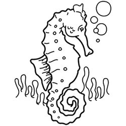 Animales marinos #517