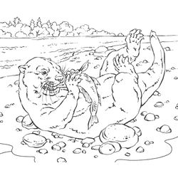 Animales marinos #523