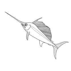 Animales marinos #533