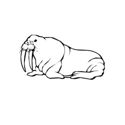 Animales marinos #535