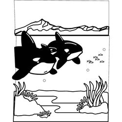 Animales marinos #536