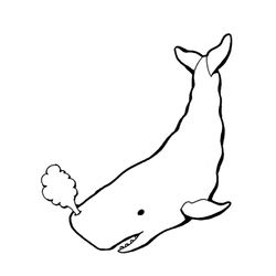 Animales marinos #537