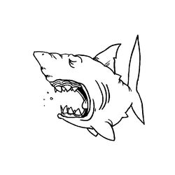 Animales marinos #541