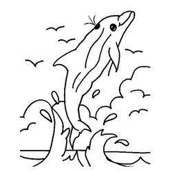 Animales marinos #548