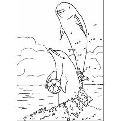 Animales marinos #551