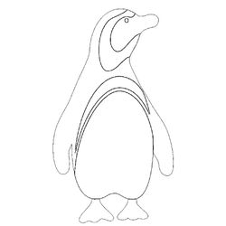 Animales marinos #565