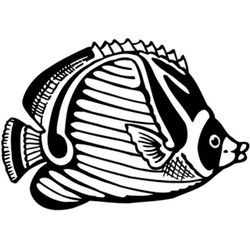 Animales marinos #566