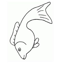 Animales marinos #567