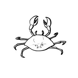 Animales marinos #574