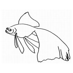 Animales marinos #580