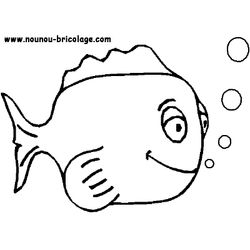 Animales marinos #583