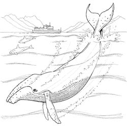 Animales marinos #586