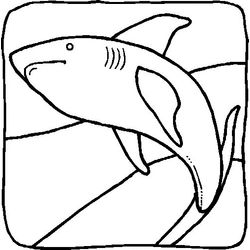 Animales marinos #591