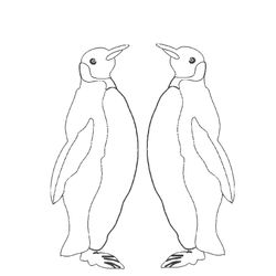 Animales marinos #595