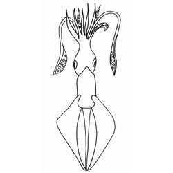 Animales marinos #598