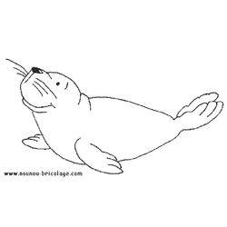 Animales marinos #599