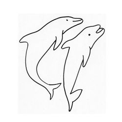 Animales marinos #602