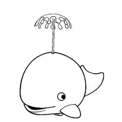 Animales marinos #608