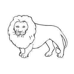 Animales salvajes / de la selva #625