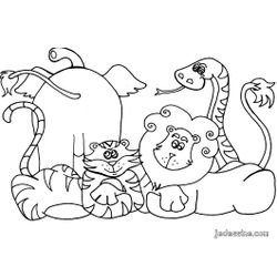 Animales salvajes / de la selva #626