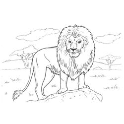 Animales salvajes / de la selva #631