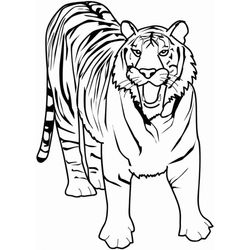Animales salvajes / de la selva #637