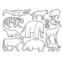 Animales salvajes / de la selva #639