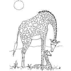 Animales salvajes / de la selva #650