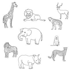 Animales salvajes / de la selva #652