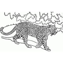 Animales salvajes / de la selva #659