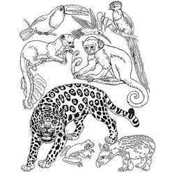 Animales salvajes / de la selva #660