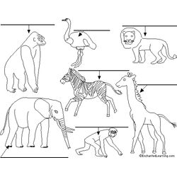Animales salvajes / de la selva #668