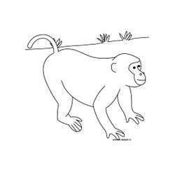Animales salvajes / de la selva #670